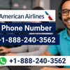 American Airlines gallery