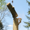 Chief Tree Care - Tree Service