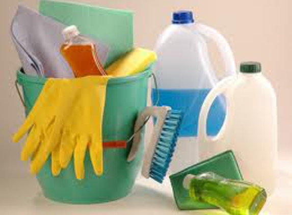 Reliable house cleaning services llc - tampa, FL