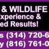 Titan Pest and Wildlife Solutions gallery