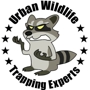 Urban Wildlife Trapping Experts