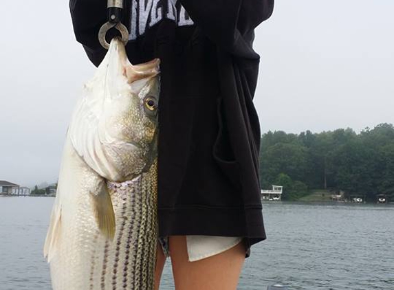 PointRunner's Striper Guide Service Smith Mountain Lake Va - Moneta, VA. PointRunner's Striper Guide SML