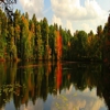 Northwoods Cabin & Property Care gallery
