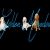 Golden Meadows Kennel gallery
