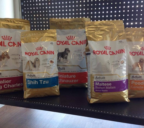 Hammett Street Veterinary Surgery - Currajong, QLD