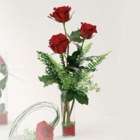 Paul’s Flowers