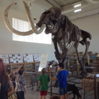 Fossil Discovery Center