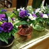 Niffs Nature Nook gallery