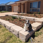 Gallery Image Number 1