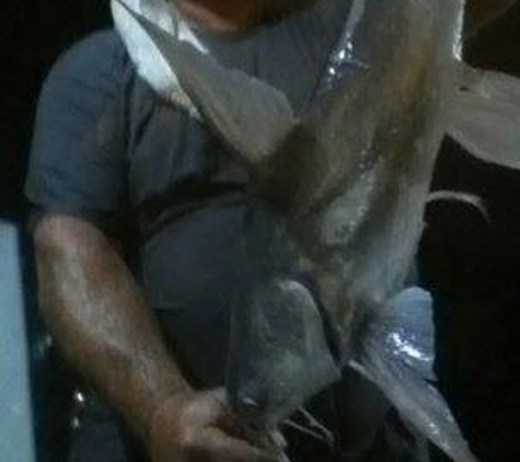 Aqua Time Pro Kayak Fishing Guides - Melbourne, FL. Largest Gaff Tailed Catfish recorded Eau Gallie Harbor Melbourne, Fl. by pro guide Robert Dillard.