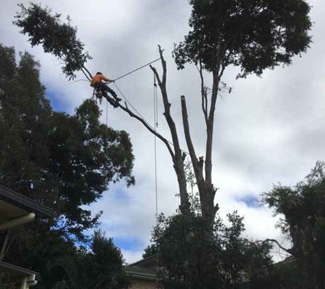 Limb-it-Less Tree Services - Korora, NSW