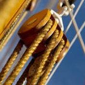 Gallery Image Number 2