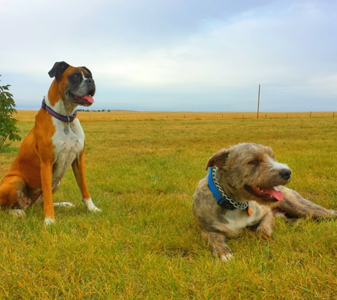 Woofter's Top Dog K-9 Obedience - Mulvane, KS