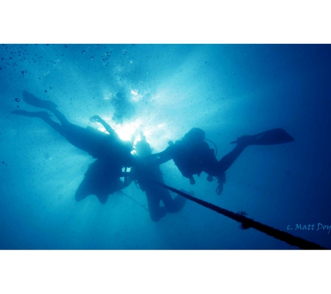 Feet First Dive - Nelson Bay, NSW