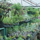 Plant Kingdom Greenhouse Showroom - Greenhouses