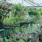 Plant Kingdom Greenhouse Showroom