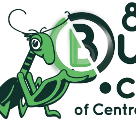 Bugs Dot Com - Waco, TX