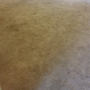 ProAction Carpet Care LLC - Carpet & Rug Cleaners