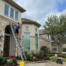 Moses Window Cleaning - Window Cleaning