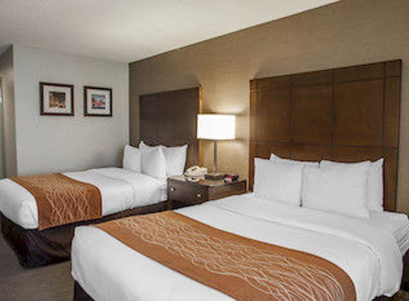 Comfort Inn - Downers Grove, IL