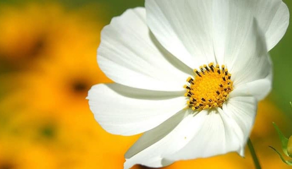 Renshaws Funeral Services - Bathurst, NSW