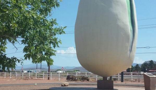 McGinn's Pistachio Tree Ranch - Alamogordo, NM