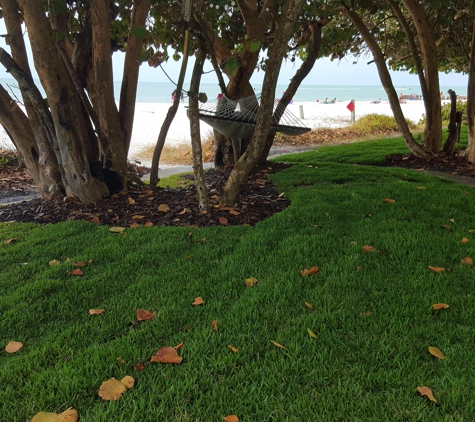 Farm Fresh Sod - Sarasota, FL