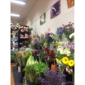 Gallery Image Number 7