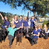 Acorn Hills Animal Center / Amador Veterinary Emergency Clinic gallery