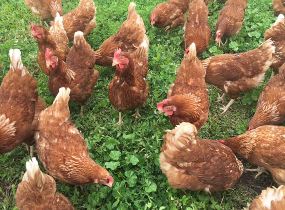 Milo's Poultry Farms - Bonduel, WI