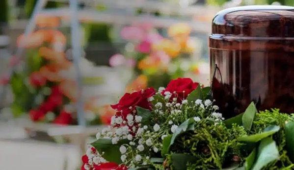 Divinity Cremations - Menai, NSW