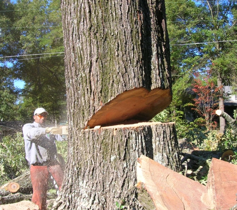 Rowland Tree Service - Beebe, AR