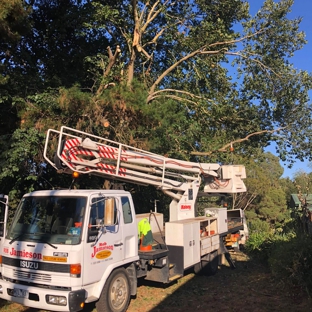 Rob Jamieson Tree & Stump Removal - Colac East, VIC