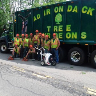 Adirondack Tree Surgeons Inc - Gansevoort, NY