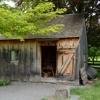 Cooper Shop gallery