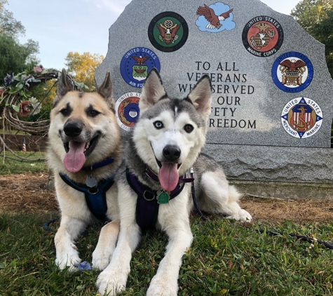 County Line Veterinary Services - Homeworth, OH