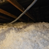 Bugs-Go Insulation gallery