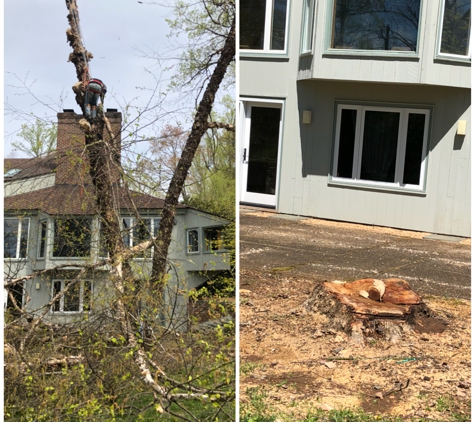 Sandoval\u2019s Tree Service and Landscaping - Louisa, VA