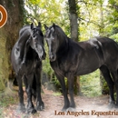 Los Angeles Equestrian Center - Horse Training