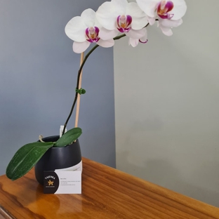 JNT ACCOUNTING - Atherton, QLD