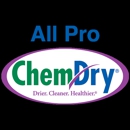 All Pro Chem-Dry - Carpet & Rug Cleaners