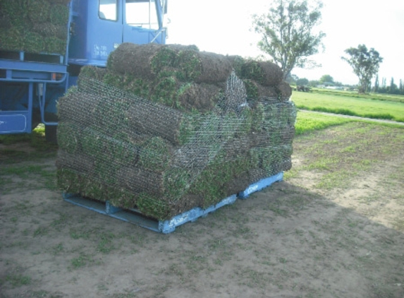 Rivers Edge Turf Pty Ltd - Wilberforce, NSW