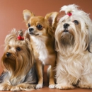 Pampered Puppies - Pet Boarding & Kennels