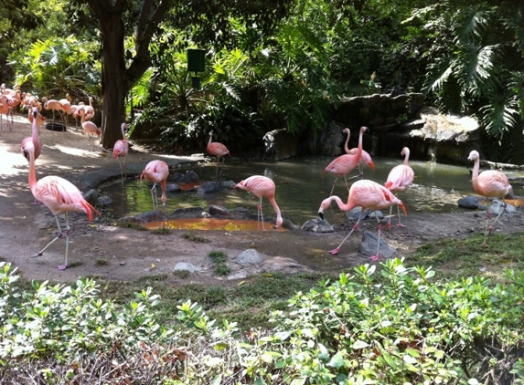 Los Angeles Zoo and Botanical Gardens - Los Angeles, CA