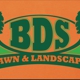 BDS Landscape