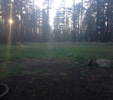 Fallen Leaf Campground - South Lake Tahoe, CA