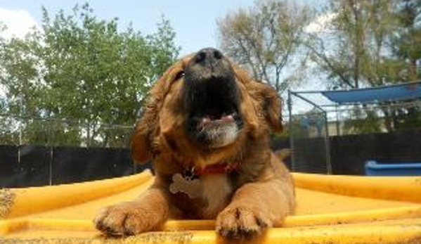 Lucky Dog Boarding, Daycare & Training - Colorado Springs, CO