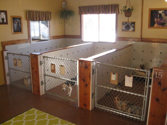 Cedar Creek Dog Boarding Kennel N14010 Depas Lane No 34.75, Wilson, MI ...