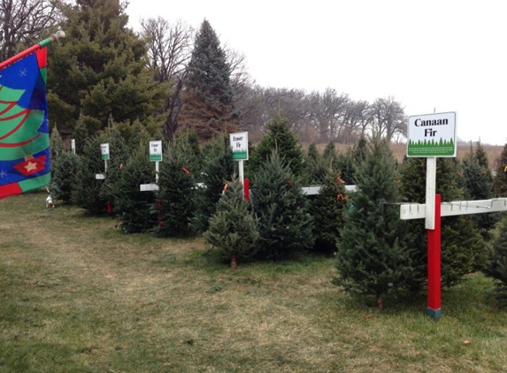 Lee's Trees - Maple Park, IL