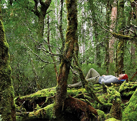 Russell Falls Holiday Cottages - National Park, TAS